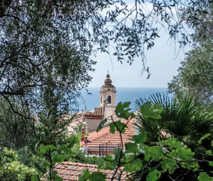 Il campanile di Bordighera Alta tra gli ulivi