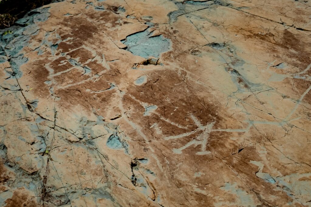 Prehistoric rock engravings on smooth rock in the Valle delle Meraviglie, studied by Clarence Bicknell