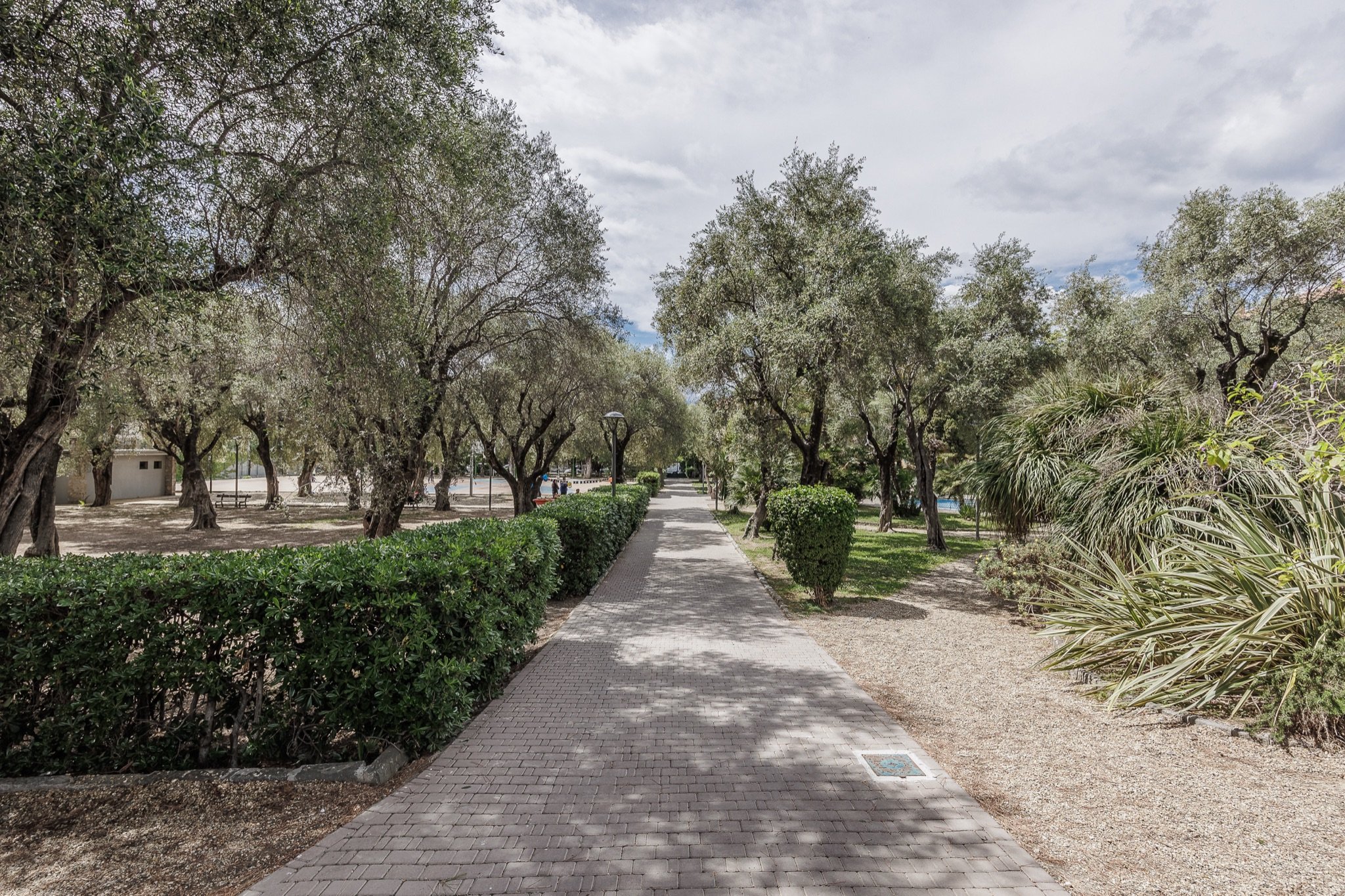 Viale pedonale in autobloccanti dei Giardini Lowe tra olivi secolari, siepi e piante mediterranee sotto un cielo nuvoloso