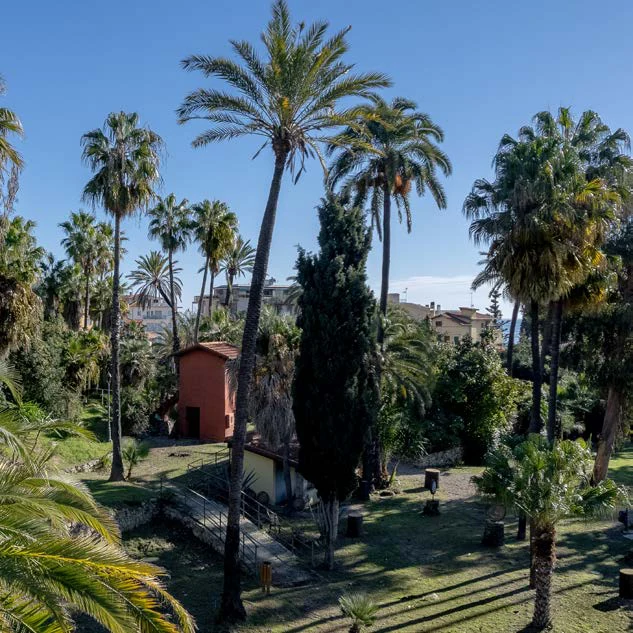 Palme e vialetti dei Giardini Winter all’Arziglia