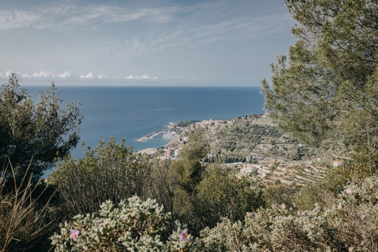 Panorama dal Monte Nero sulla costa con il porto e la città, tra cespugli di macchia mediterranea e pini