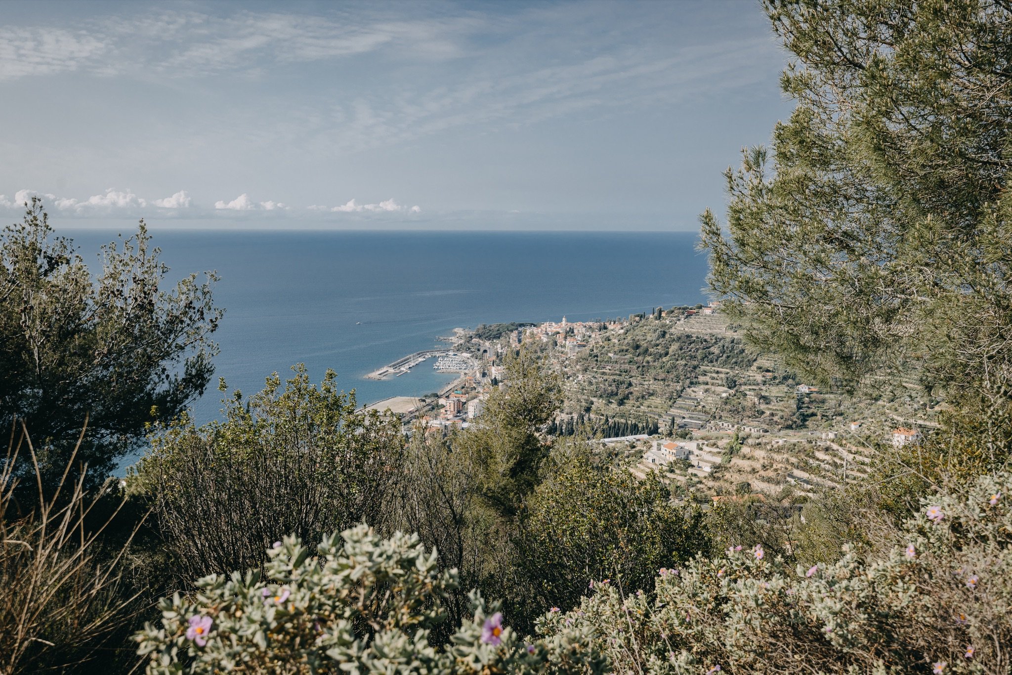 Panorama dal Monte Nero sulla costa con il porto e la città, tra cespugli di macchia mediterranea e pini