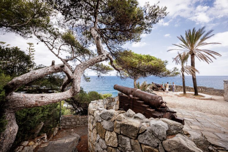 Un pino dal tronco ricurvo accanto al cannone antico del belvedere, con il mare e le palme sullo sfondo