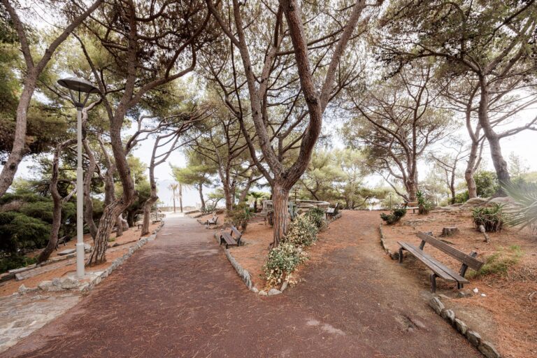 Viale sterrato nella pineta del Capo con pini d'Aleppo dai tronchi inclinati, panchine in legno e aiuole