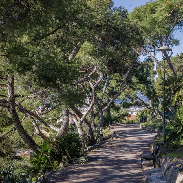 Un vialetto ombreggiato nella pineta del Capo
