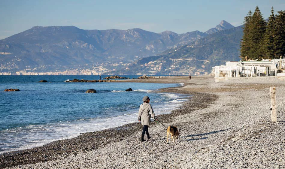 Passeggiata sulla spiaggia con il cane
