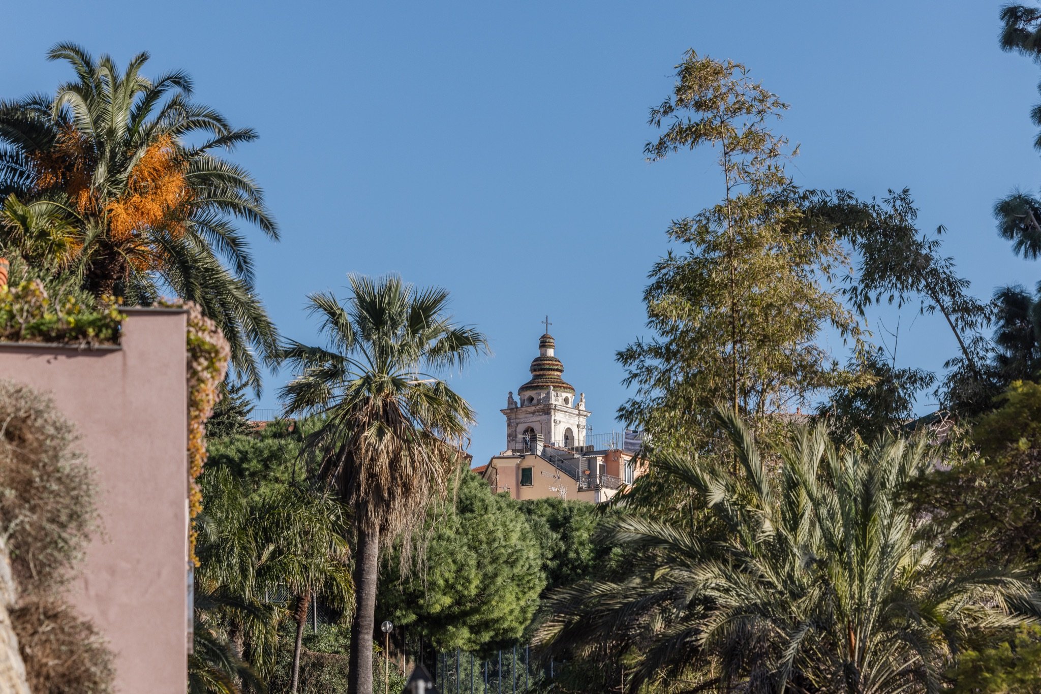 Il campanile della chiesa di Terrasanta che spunta tra palme, bambù e alberi dei giardini lungo via Romana