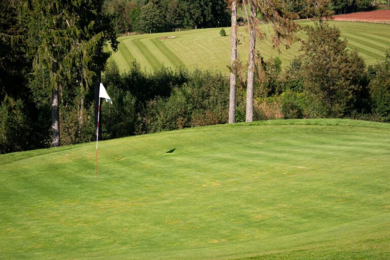Grün eines Golfplatzes am Hang mit weißer Fahne, in Streifen gemähtem Fairway und hohen Bäumen: Symbolbild