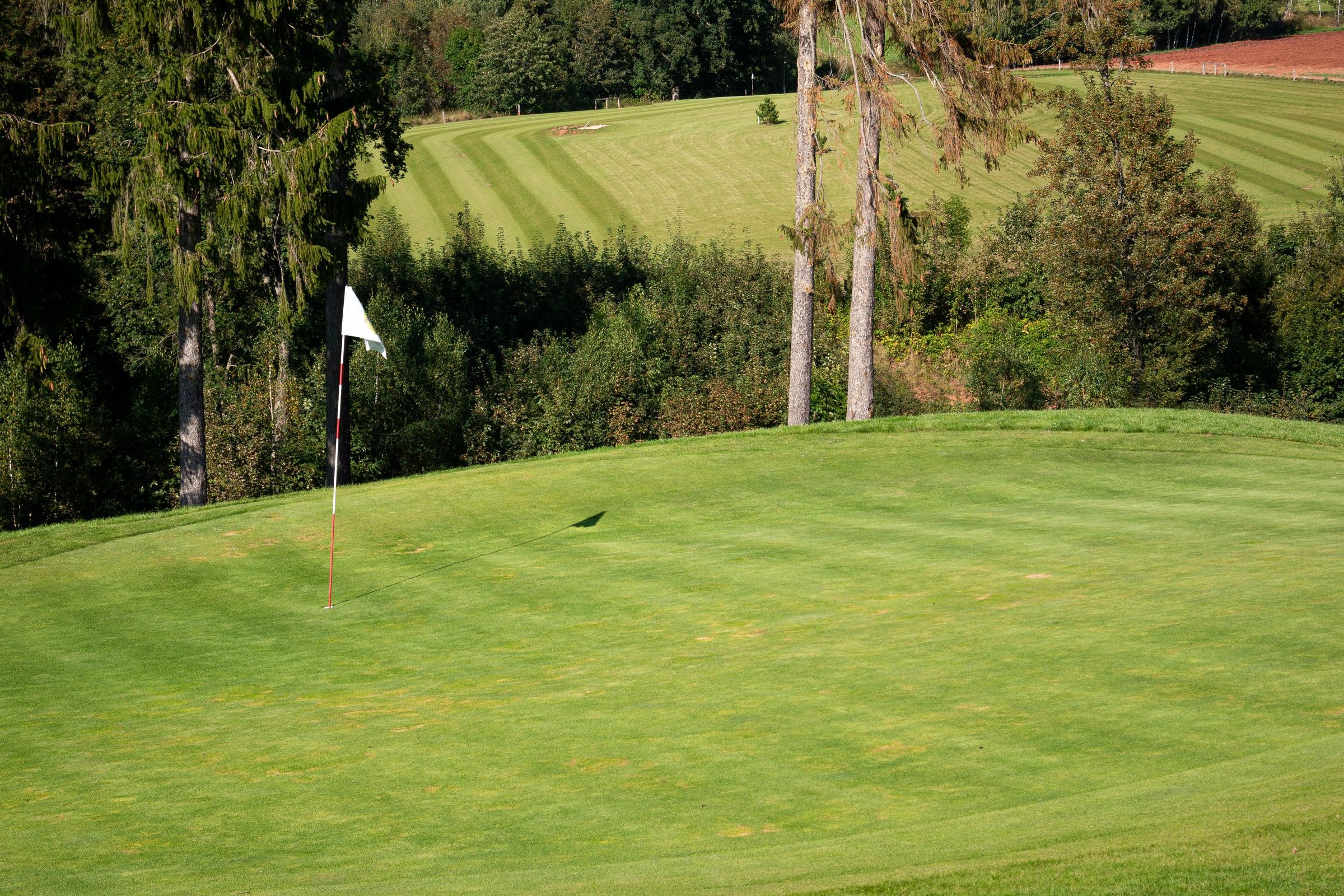 Green of a hillside golf course with a white flag, striped mown fairway and tall trees: illustrative image